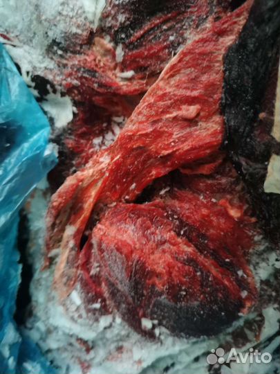 Мясо говядина для собак