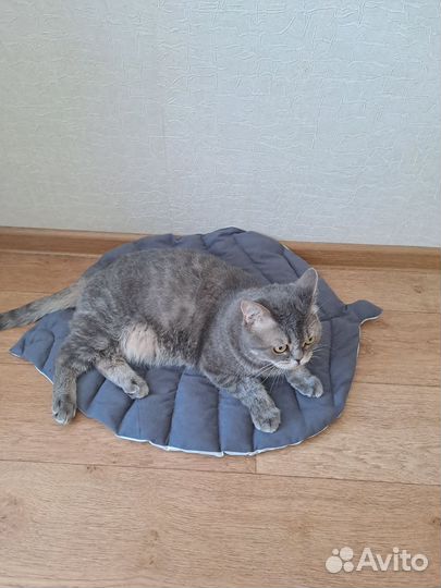 Лежанка коврик подстилка для животных