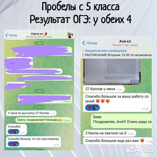 Репетитор по русскому языку и литературе. Онлайн