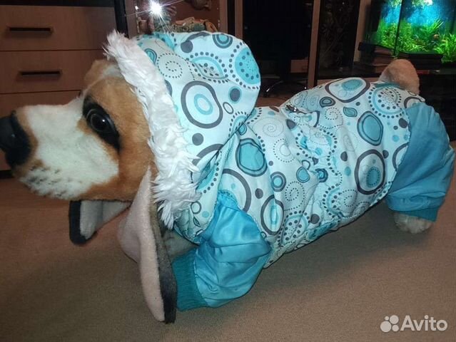 Комбинезон с жилеткой для собаки