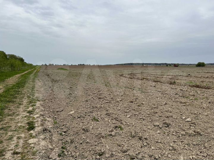 Участок 1,9 га (СНТ, ДНП)