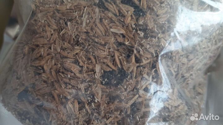 Ферментированная рисовая шелуха