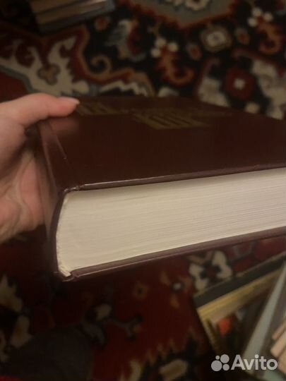 Фабрициус. Кремль в Москве