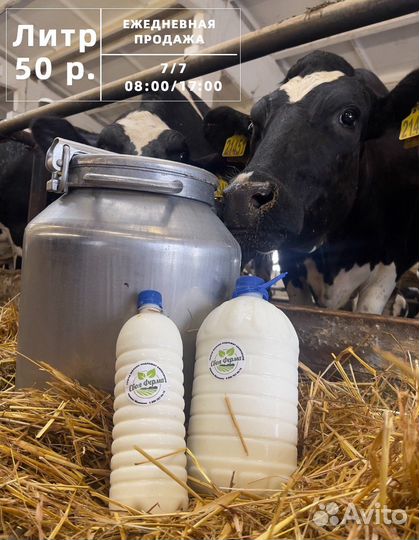 Реализация молока коровьего сырого