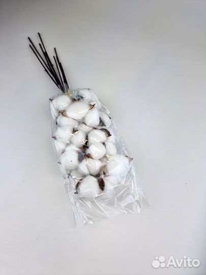 Хлопок сухоцвет для декора 10 веток