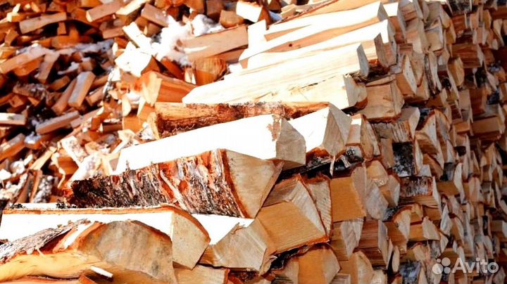 Дрова березка