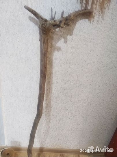 Коряга для декора