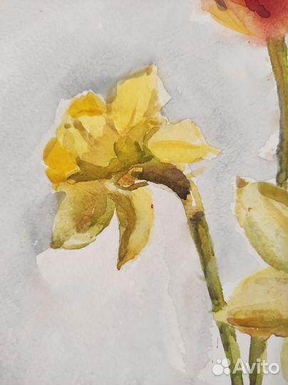 Акварель Весенние цветы