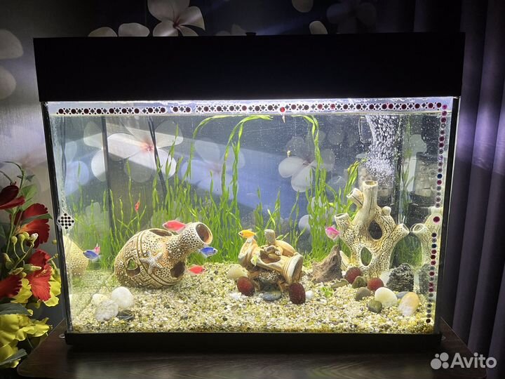 Аквариум с рыбками и декором