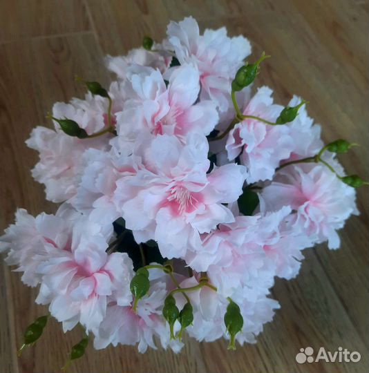 Цветы в горшочке вазе букет цветов