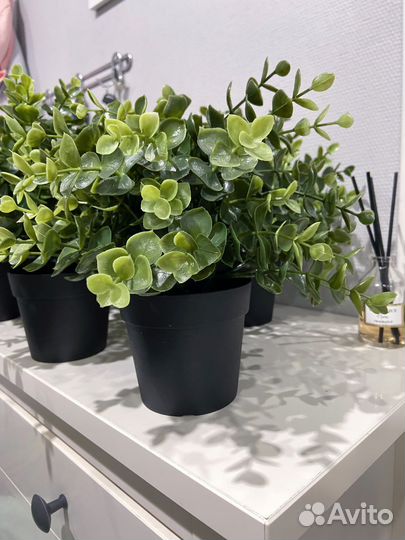 Икеа Растение искусственное фейка