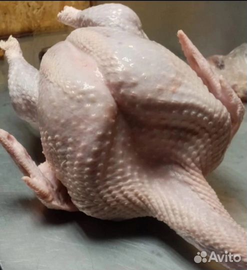 Диетическое мясо индейки