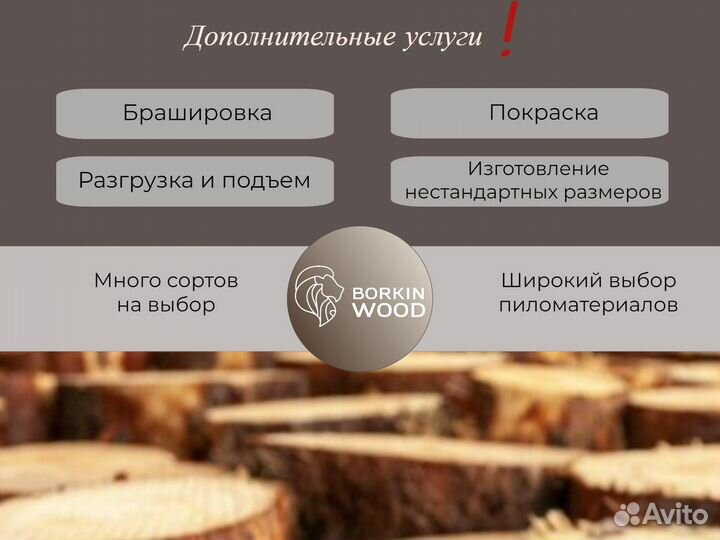 Планкен косой лиственница