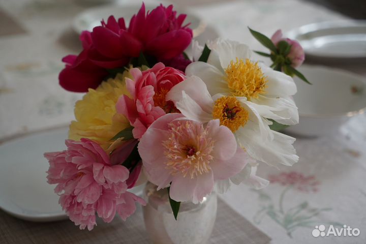 Цветы на срезку