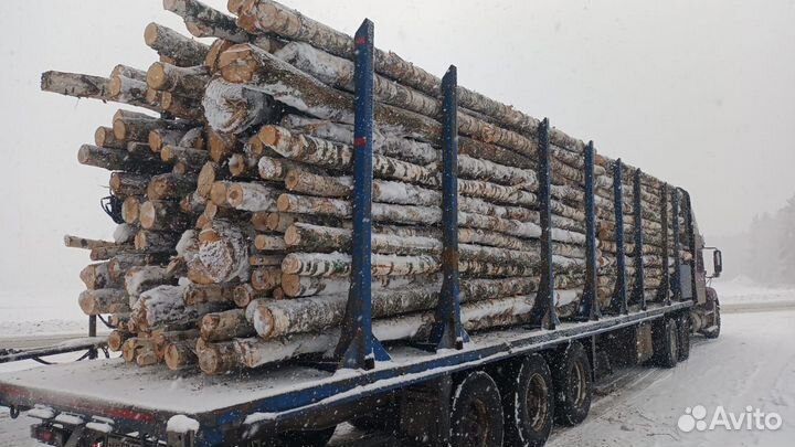 Дрова 54