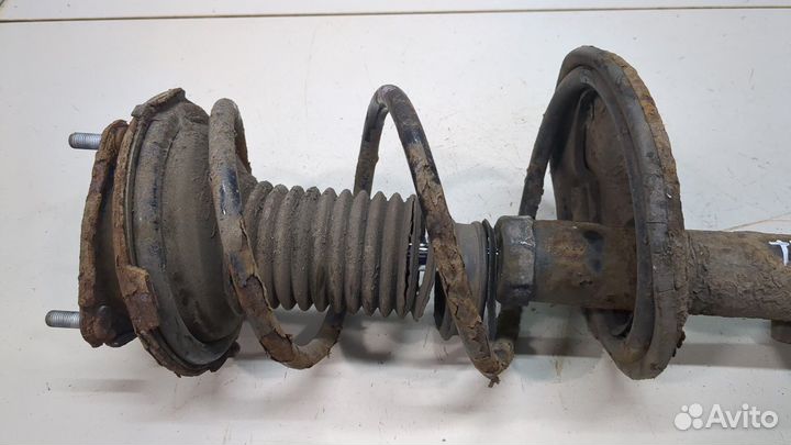 Амортизатор подвески Toyota RAV 4, 2001