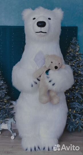 Поздравление Медведь Мишка Белый Бурый Большой