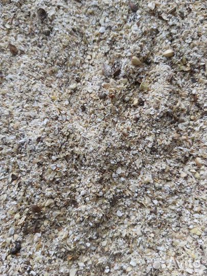 Гречка продел