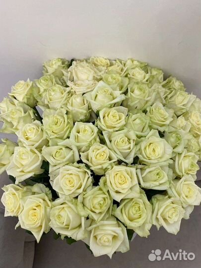 Цветы розы букет