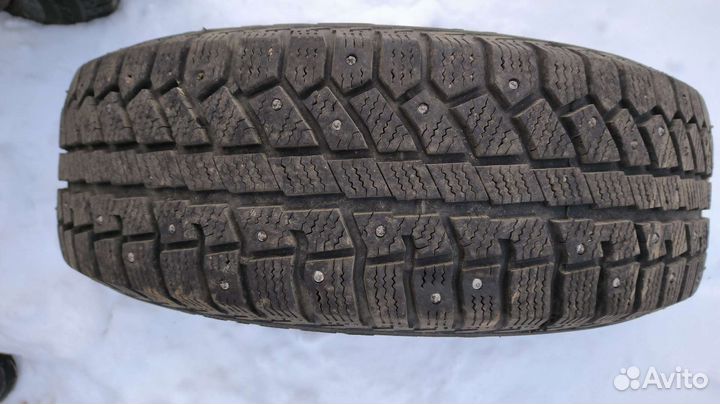 Cordiant Polar 2 195/65 R15