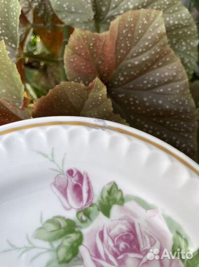 Тарелки столовые, СССР, 8 штук, Прокопьевский фз