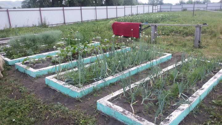 Дом 37,5 м² на участке 24 сот.