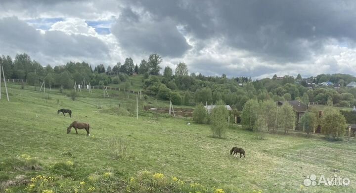 Постой лошадей по Дмитровскому шоссе