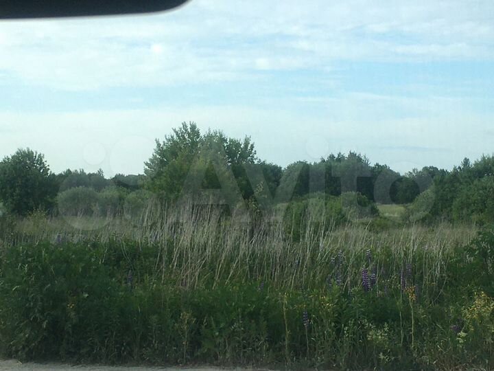 Участок 1,03 га (ИЖС)