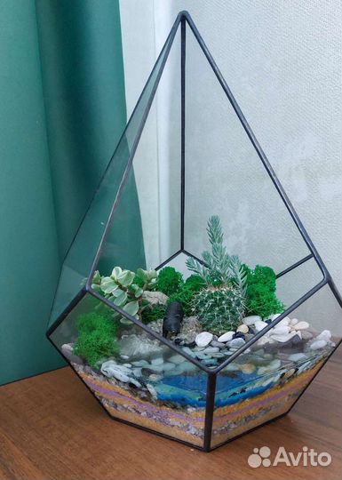 Флорариумы с суккулентами разные