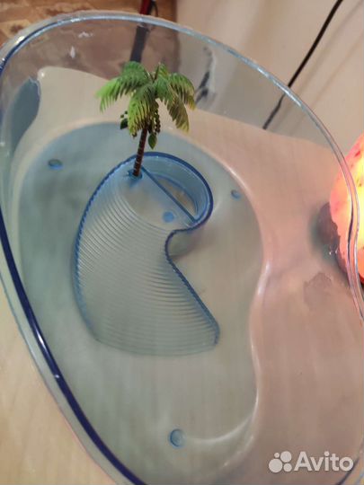 Бассейн для маленьких черепах