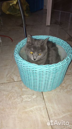 Кашпо для цветов