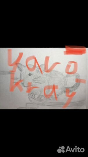 Рисунки, картины, открытки на заказ