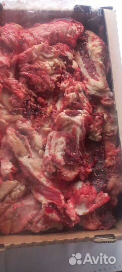 Мясо говядина для собак с доставкой на дом