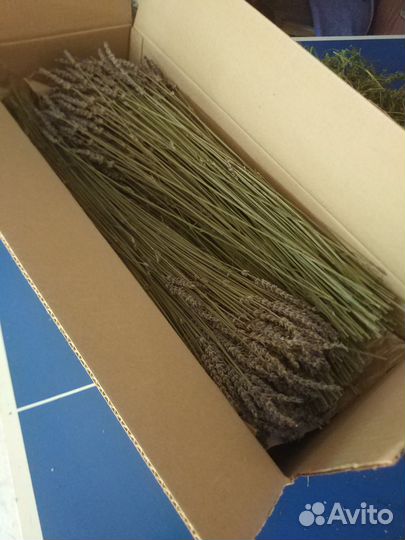 Лаванда,пижма/сухоцвет