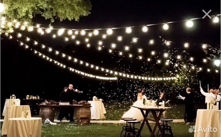 Гирлянда уличная Белт-лайт (Ретро) до -60С Каучук