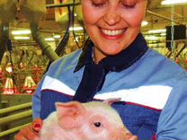 Ветеринарный врач свиноводство