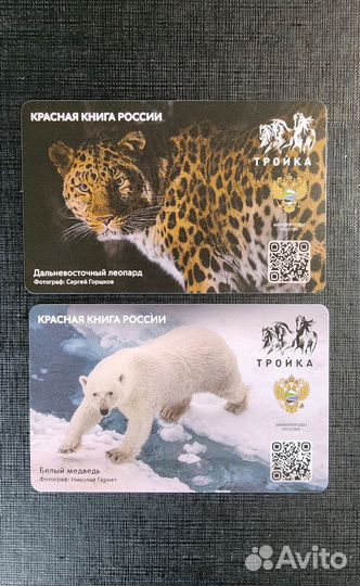 Коллекционная карта тройка с животными Медведь