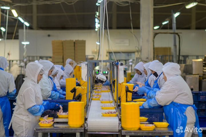 Вахта оператор линии без опыта РФ рб кз кир