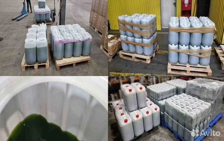 Живая водоросль суспензия