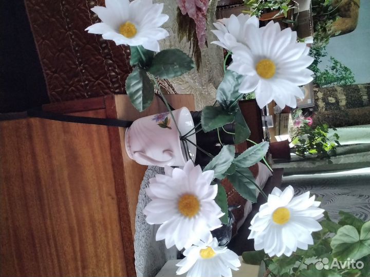 Гиппиаструм