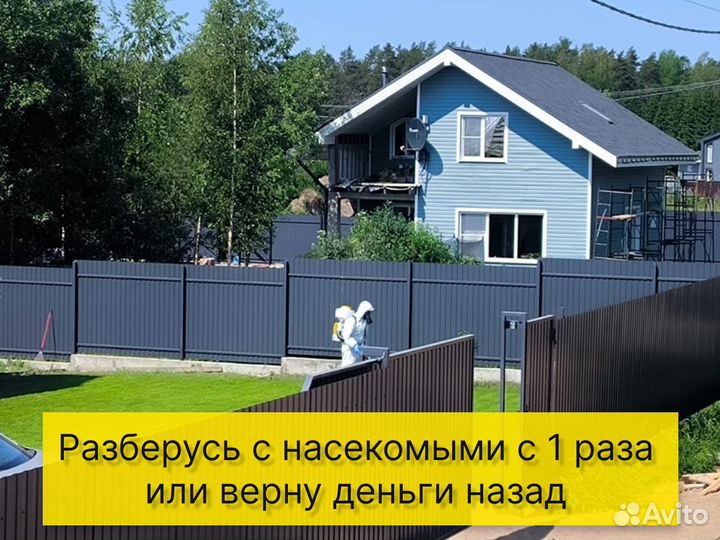 Дезинфекция тараканов клопов травить грызунов