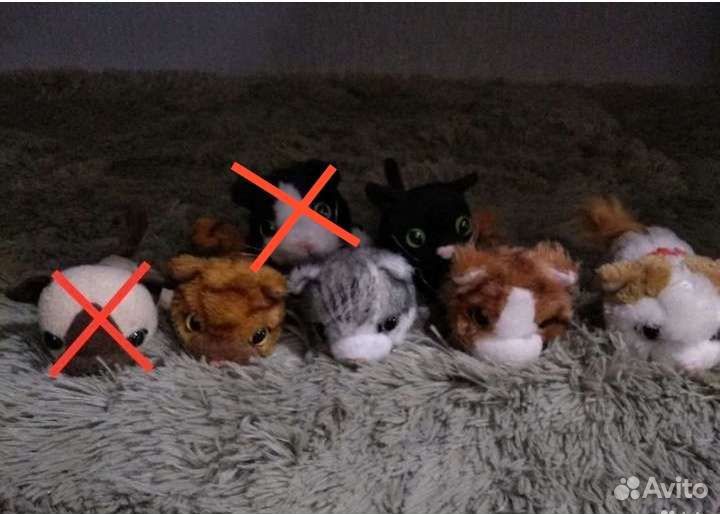 Игрушки THE DOG & THE CAT