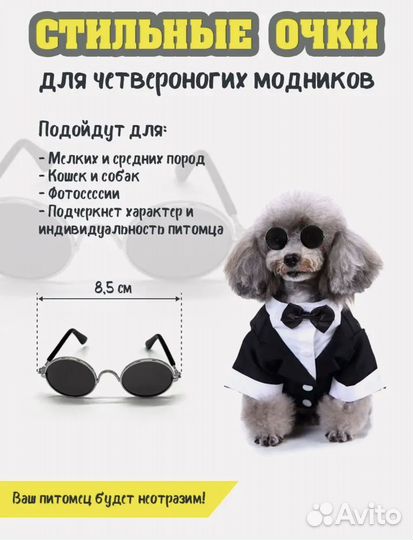 Набор аксессуаров для собак