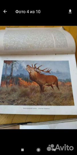 Книги старинные 