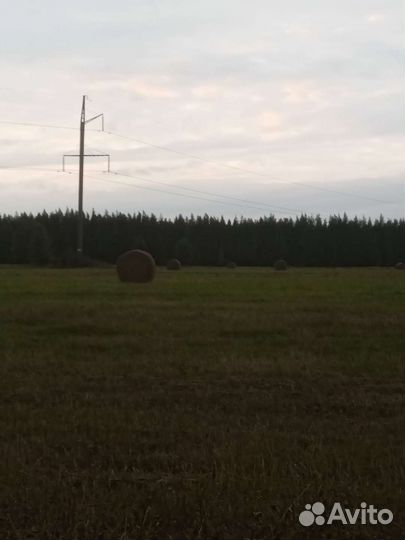 Сено в рулонах