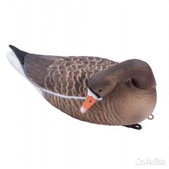 Чучела белолобых гусей кормящиеся плавающие 6шт