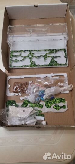 Муравьиная ферма без муравьев