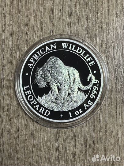 Серебряная монета Леопард Сомали 2023