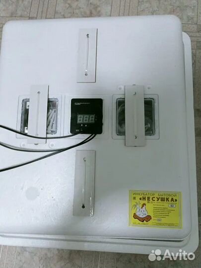 Инкубатор на 63 яйца