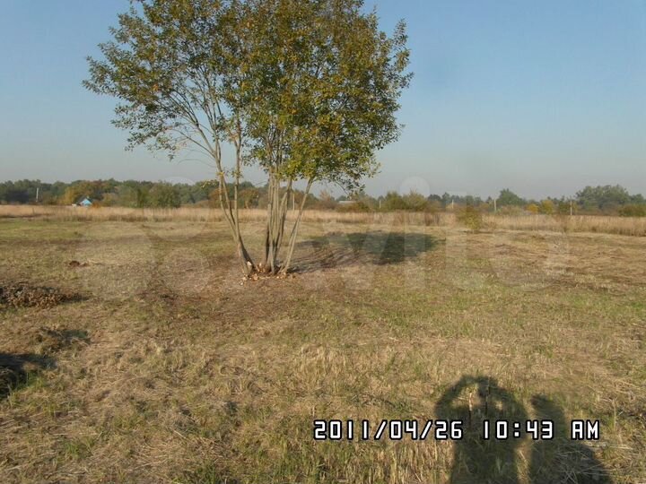 Участок 16 сот. (СНТ, ДНП)